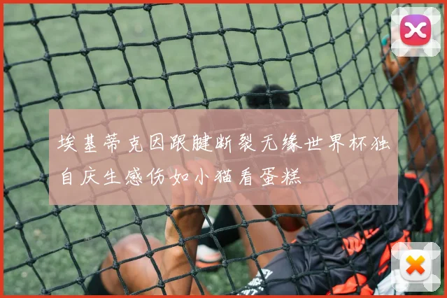 埃基蒂克因跟腱断裂无缘世界杯独自庆生感伤如小猫看蛋糕
